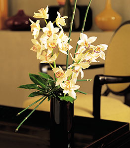  iek yolla Bursa orhaneli iekiler  cam yada mika vazo ierisinde dal orkide