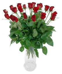  Bursa çiçekçi osman gazi çiçek gönderme sitemiz güvenlidir  11 adet kimizi gülün ihtisami cam yada mika vazo modeli