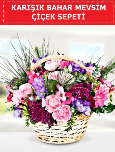 Karışık mevsim bahar çiçekleri  online Bursa ucuz çiçek gönder 
