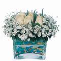 mika ve beyaz gül renkli taslar   Bursaya çiçek yolla orhangazi çiçek satışı 