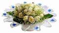 cam günes ve dolunay bembeyaz  Bursada çiçekçi osmangazi çiçek , çiçekçi , çiçekçilik 