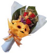 güller ve gerbera çiçekleri   çiçek siparişi Bursa karacabey çiçek yolla 