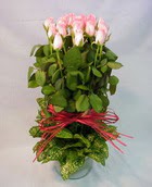 13 adet pembe gül silindirde   Bursa çiçek yolla nilüfer çiçek gönderme 