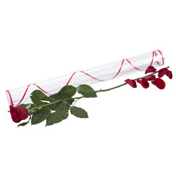 1 adet kutu gül silindir kutuda   çiçekçiler Bursa online çiçek gönderme sipariş 