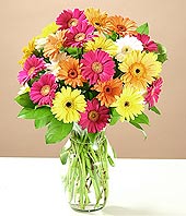  cicek Bursa iznik çiçek online çiçek siparişi  17 adet karisik gerbera