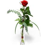  Bursa çiçekçi osman gazi çiçek gönderme sitemiz güvenlidir  1 adet kirmizi gül cam yada mika vazo içerisinde