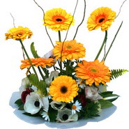 camda gerbera ve mis kokulu kir çiçekleri  Bursa çiçekçi osman gazi çiçek gönderme sitemiz güvenlidir 