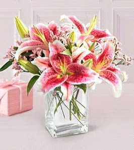2 dal kazablanka görsel vazosu  Bursa çiçek gönder nilüfer çiçek siparişi vermek 