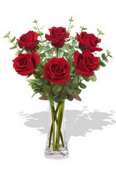  Bursa orhangazi internetten çiçek siparişi  6 kırmızı gül vazosu