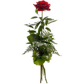  Bursa çiçek satışı kestel uluslararası çiçek gönderme  1 adet kırmızı gülden buket