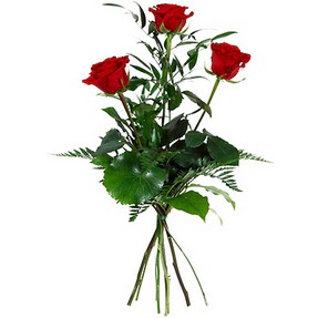  Bursa inegöl çiçek servisi , çiçekçi adresleri  3 adet kırmızı gülden buket
