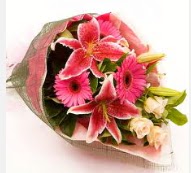 1 dal kazablanka ve mevsim çiçekleri  Bursa inegöl kaliteli taze ve ucuz çiçekler 