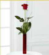 Vazo içerisinde 1 adet kırmızı gül  Bursa inegöl kaliteli taze ve ucuz çiçekler 