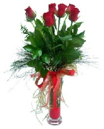 vazo içerisinde 5 kırmızı gül  Bursa iznik hediye sevgilime hediye çiçek 