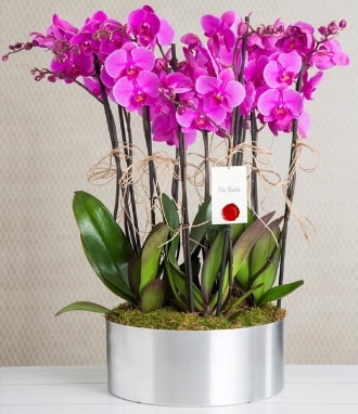 11 dallı mor orkide metal vazoda  çiçek siparişi Bursa karacabey çiçek yolla 