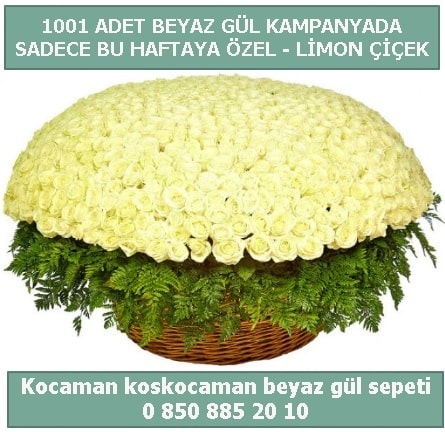 1001 adet beyaz gül sepeti özel kampanyada  çiçek siparişi Bursa karacabey çiçek yolla 