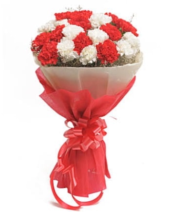 21 adet kırmızı beyaz karanfil buketi  Bursaya çiçek yolla orhangazi çiçek satışı 