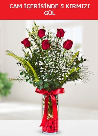 Cam içerisinde 5 adet kırmızı gül  Bursa çiçek gönder nilüfer çiçek siparişi vermek 